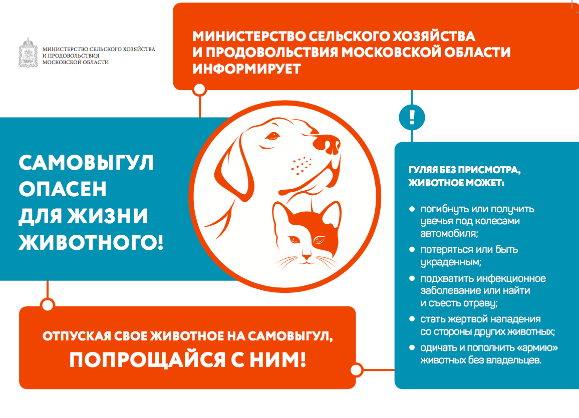 Полномочия в области обращения с животными - Официальный сайт администрации  города Долгопрудный